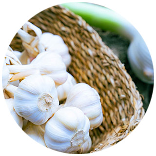 無農薬にんにく