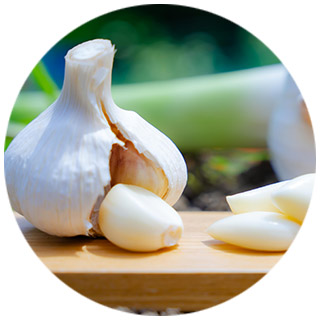 ヒロシのにんにく